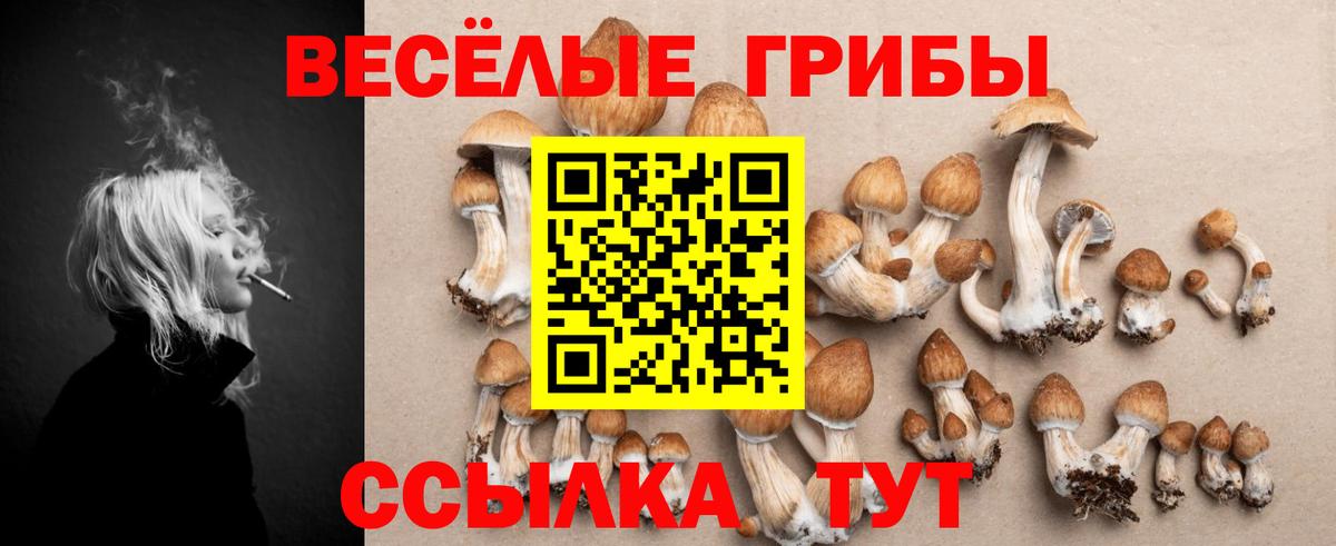 Полысаево  Галлюциногенные грибы MAGIC MUSHROOMS  Вход с VPN  Псилоцибиновые грибы прущие грибы 