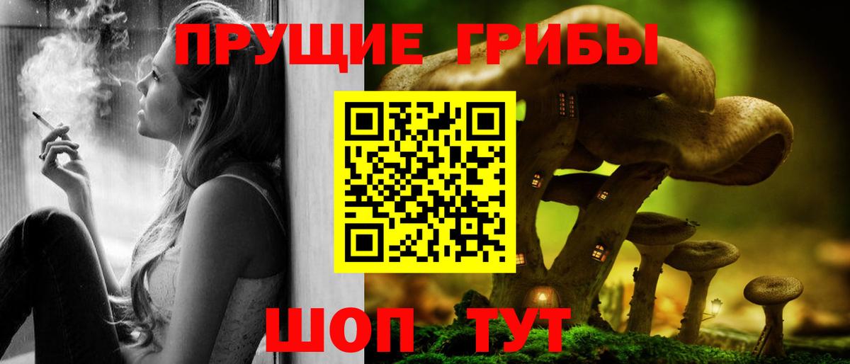 Псилоцибиновые грибы Psilocybe Полысаево